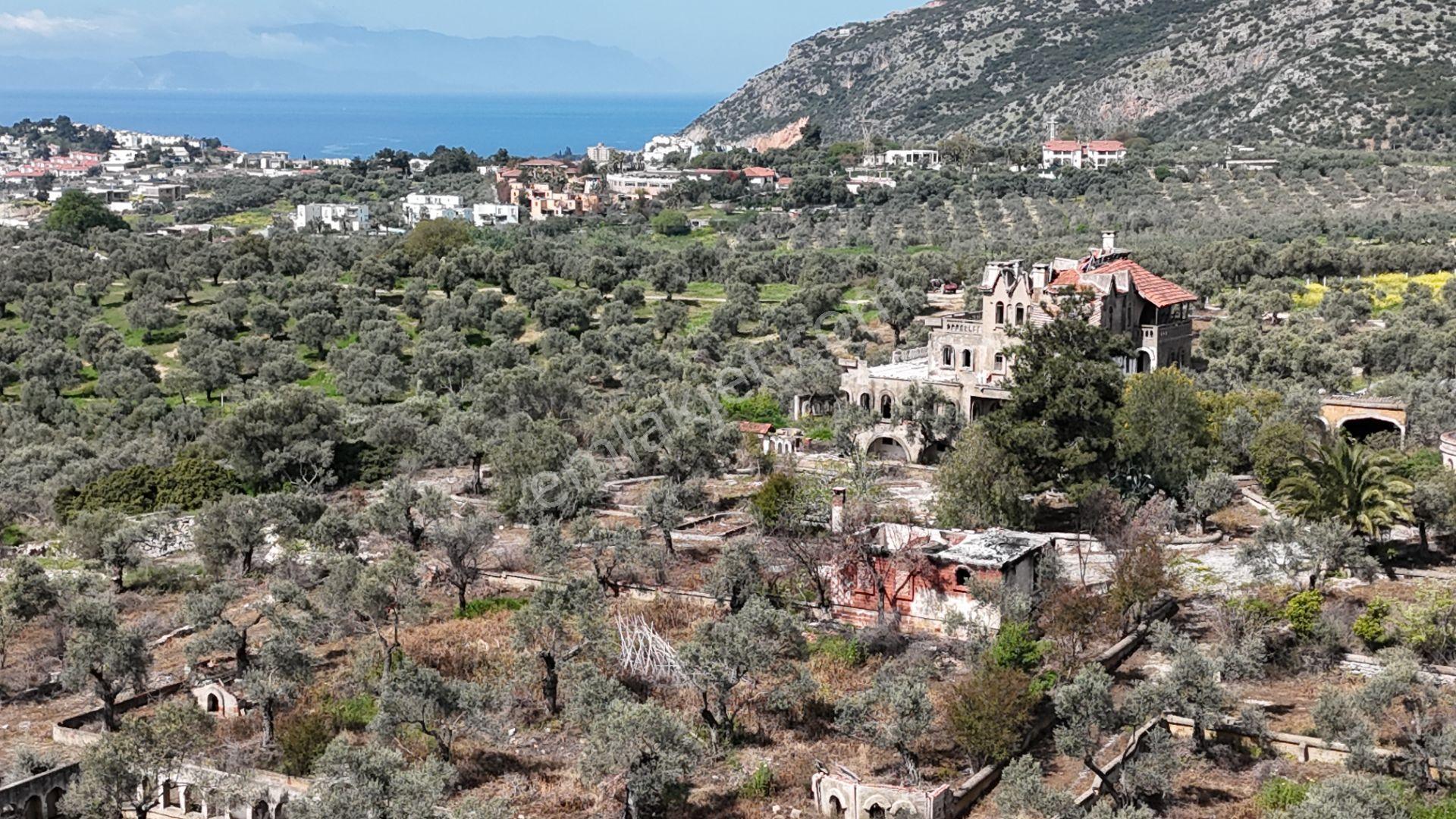 Şehır Merkezıne Yakın 6381 M² Satılık Tarla - Görsel 4