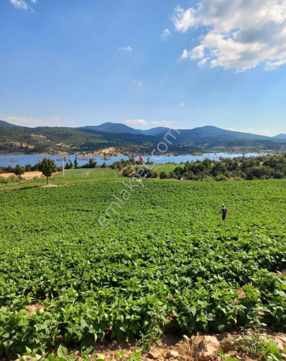 Ağabey Gayrimenkul Den Ödemiş Horzum Mahallesinde Satılık Arazi - Görsel 11