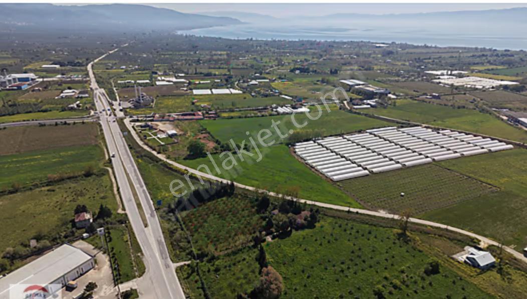 Orhangazi, Muradiye'de Merkeze Yakın Yatırımlık 6815 M² Tarla - Görsel 15