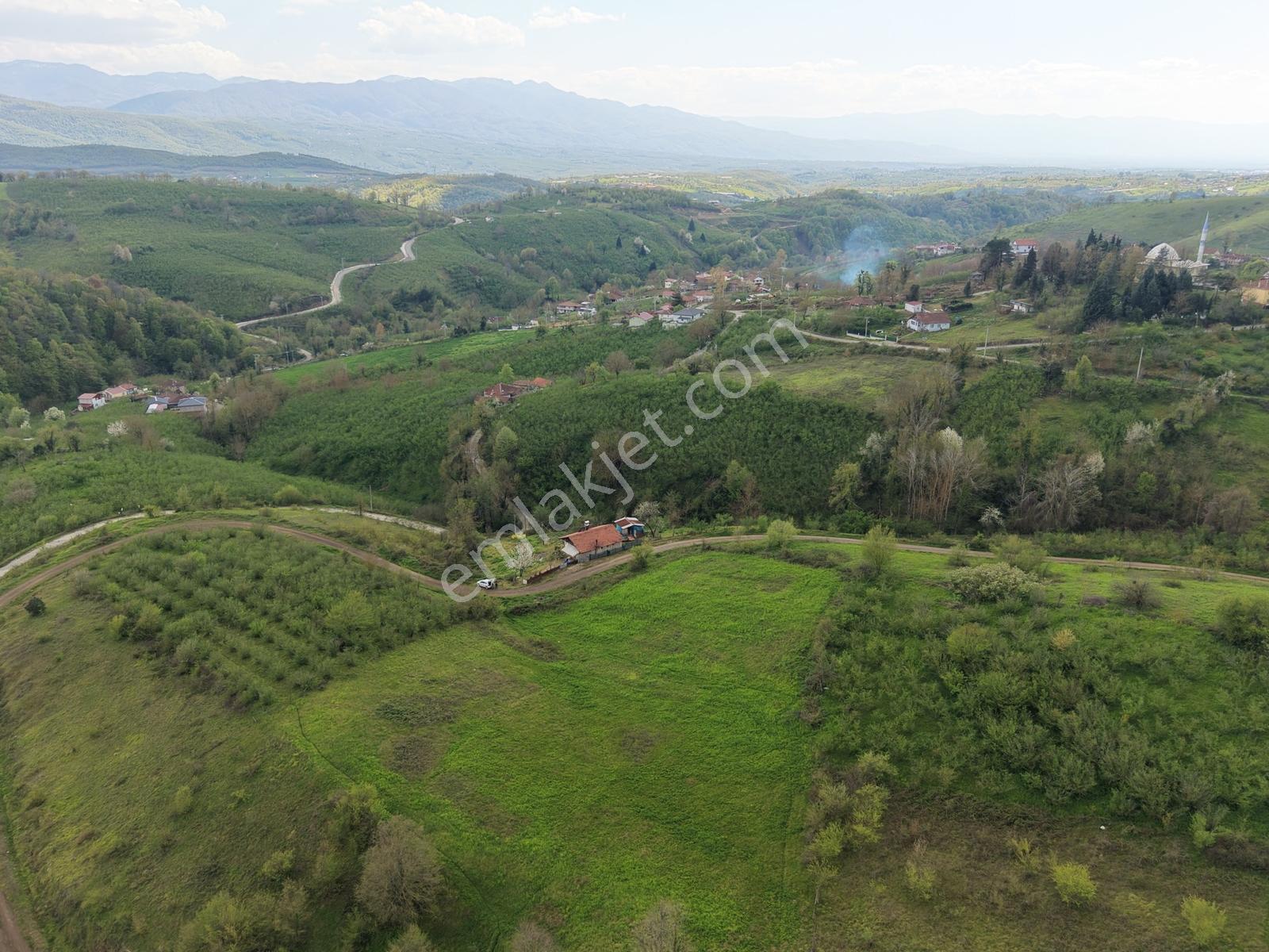 Emlak Evim - Hendek Güldibi Mh. Doğa İçinde 3.295 M2 İmarlı Arsa - Görsel 10