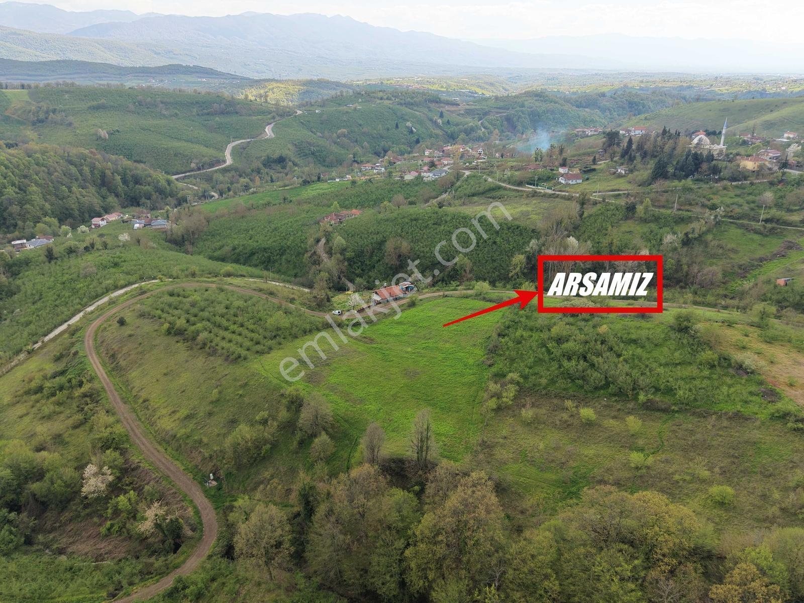 Emlak Evim - Hendek Güldibi Mh. Doğa İçinde 3.295 M2 İmarlı Arsa - Görsel 5