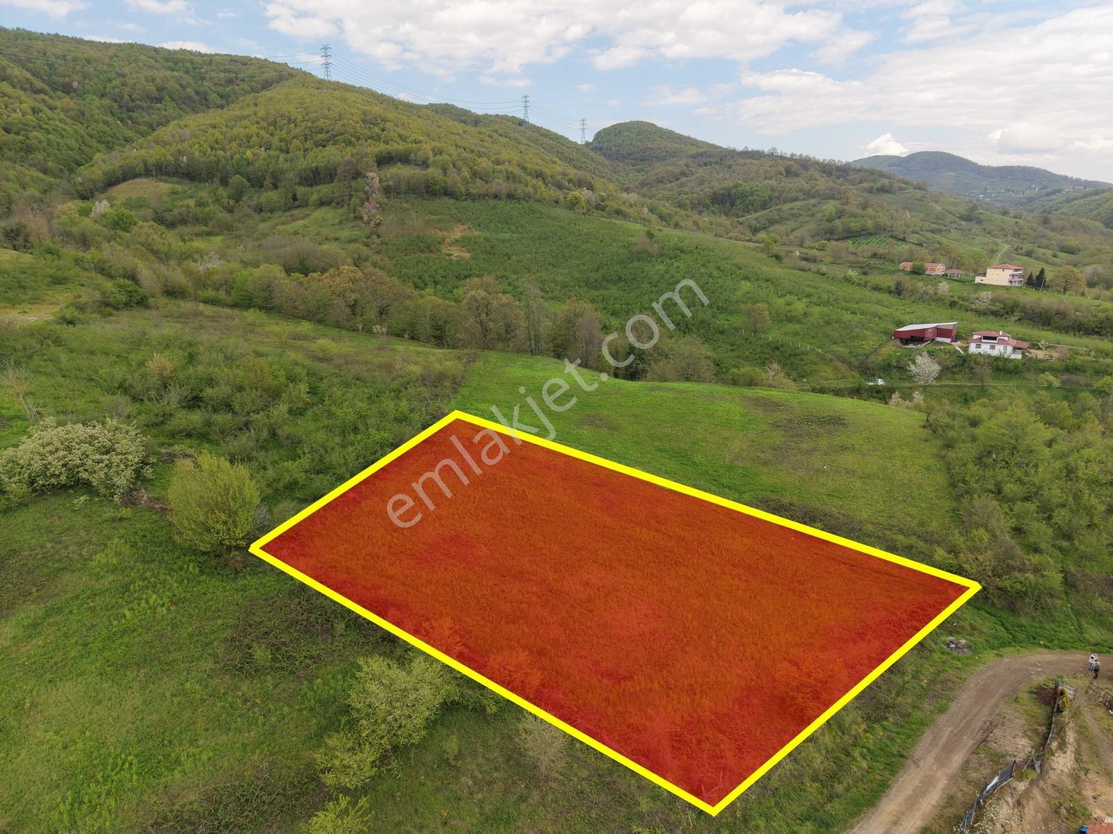 Emlak Evim - Hendek Güldibi Mh. Doğa İçinde 3.295 M2 İmarlı Arsa