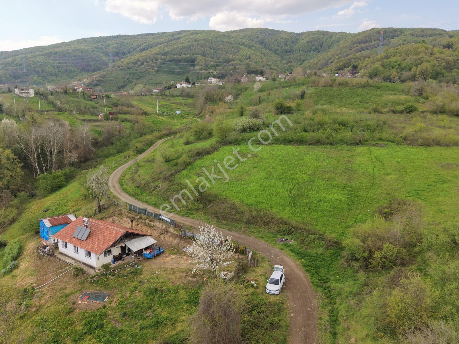 Emlak Evim - Hendek Güldibi Mh. Doğa İçinde 3.295 M2 İmarlı Arsa - Görsel 3