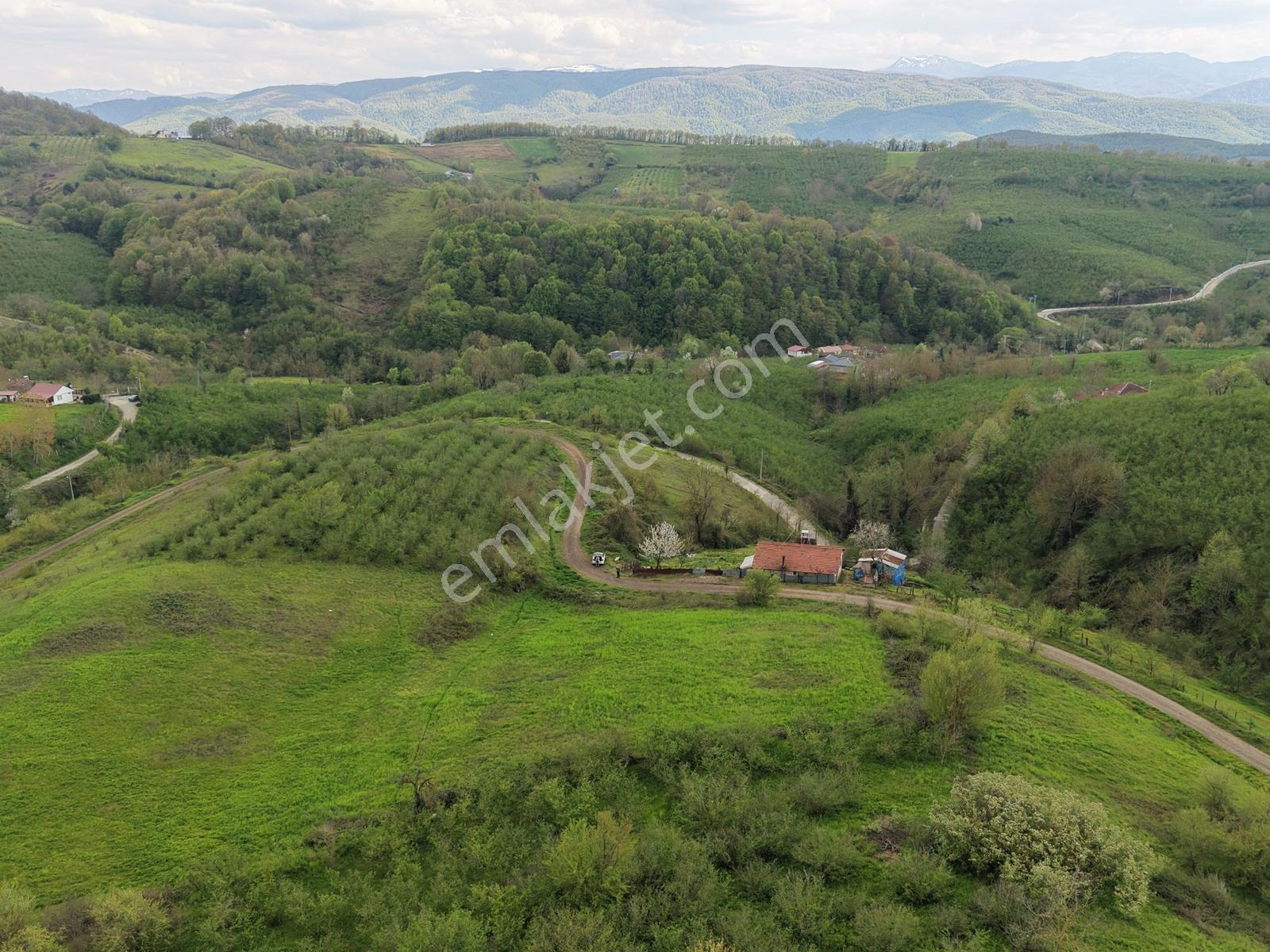 Emlak Evim - Hendek Güldibi Mh. Doğa İçinde 3.295 M2 İmarlı Arsa - Görsel 9