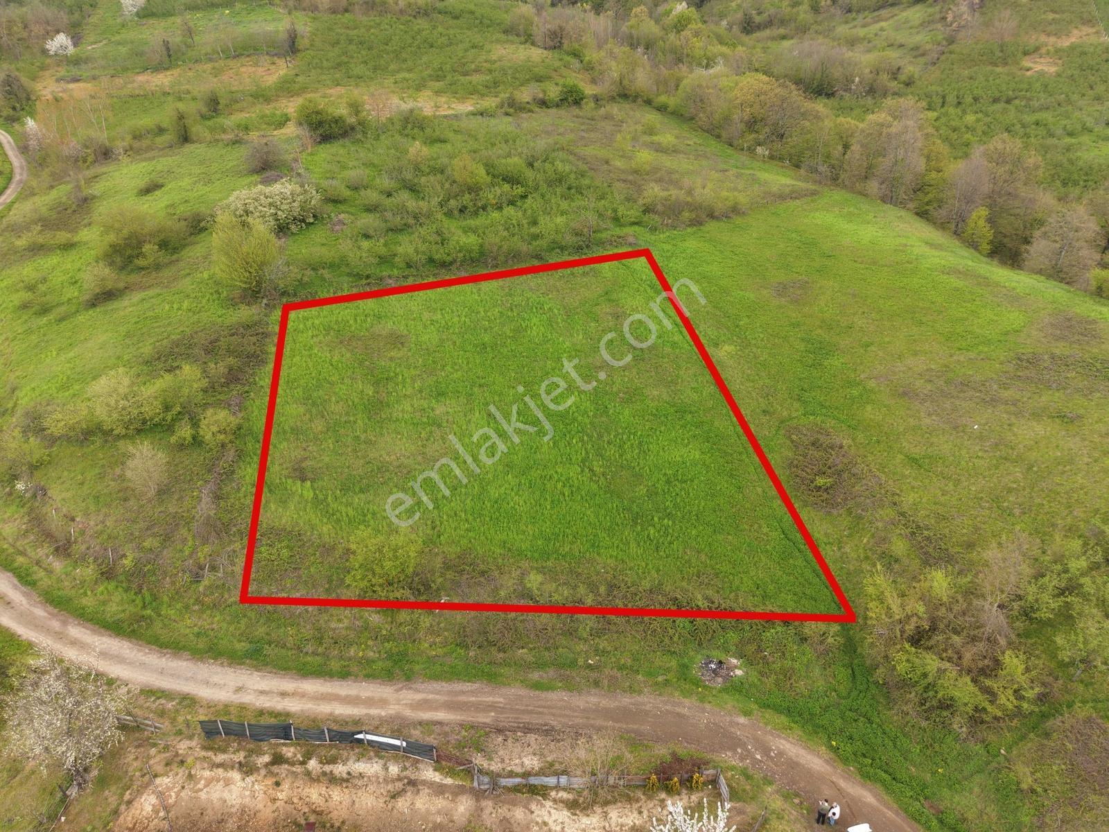 Emlak Evim - Hendek Güldibi Mh. Doğa İçinde 3.295 M2 İmarlı Arsa - Görsel 7