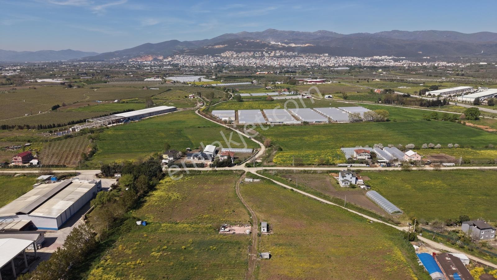 Orhangazi Muradiye'de Yatırımlık 13.148 M² Satılık Tarla - Görsel 9