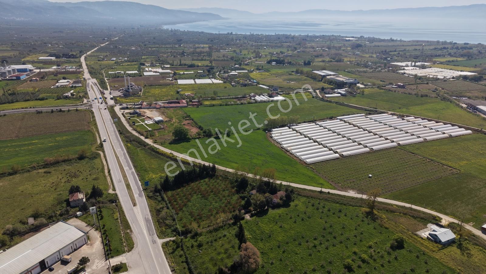 Orhangazi Muradiye'de Yatırımlık 13.148 M² Satılık Tarla - Görsel 13