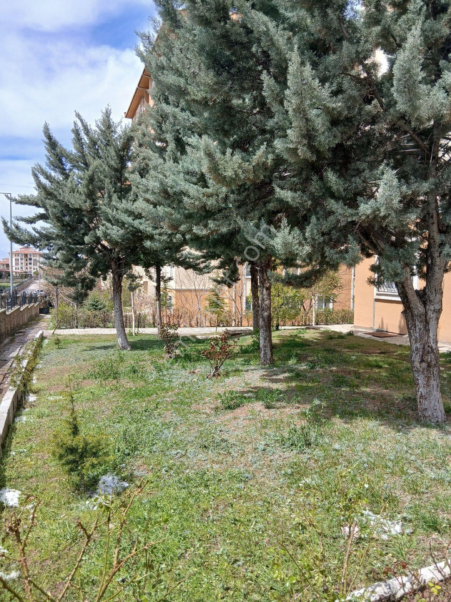 Çaydaçıra Naturel Gayrimenkul Dan - Görsel 6