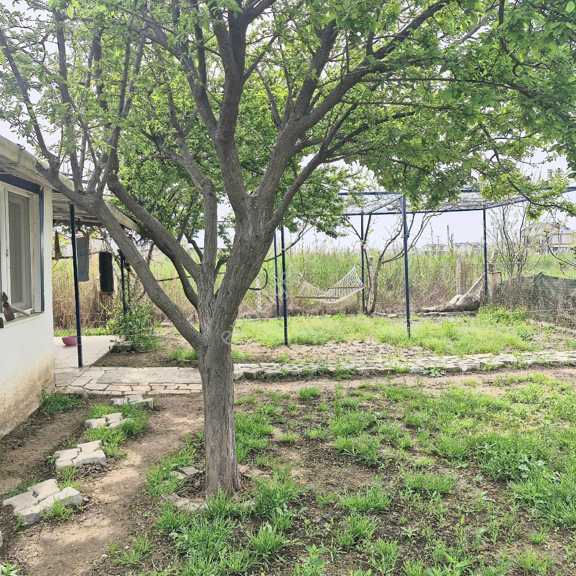 Dikili Cumhuriyet Mahallesin De Satılık İmarlı Arsa - Görsel 21