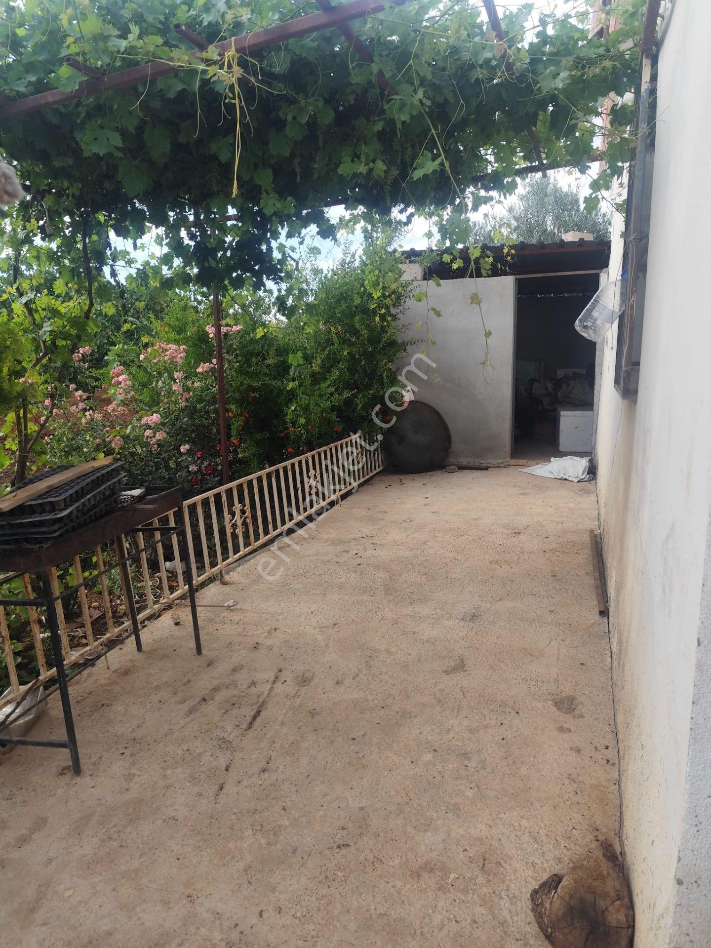 Akev Gayrimenkul'den Hamurkesen'de Bağ Evi Ve Fıstıklık Tek Tapu - Görsel 13