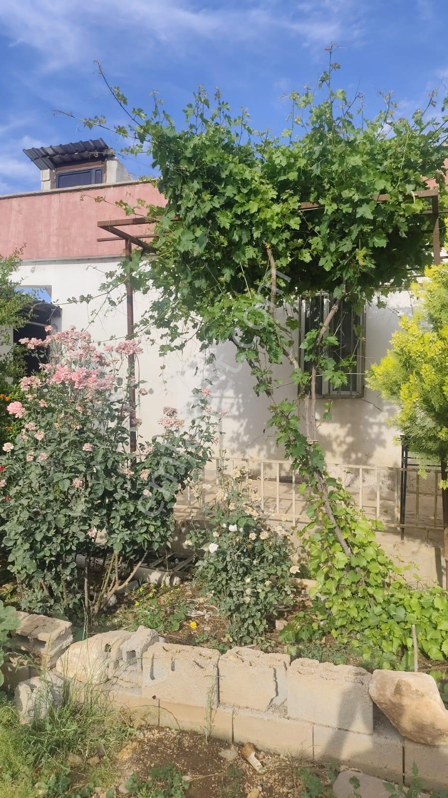 Akev Gayrimenkul'den Hamurkesen'de Bağ Evi Ve Fıstıklık Tek Tapu - Görsel 23