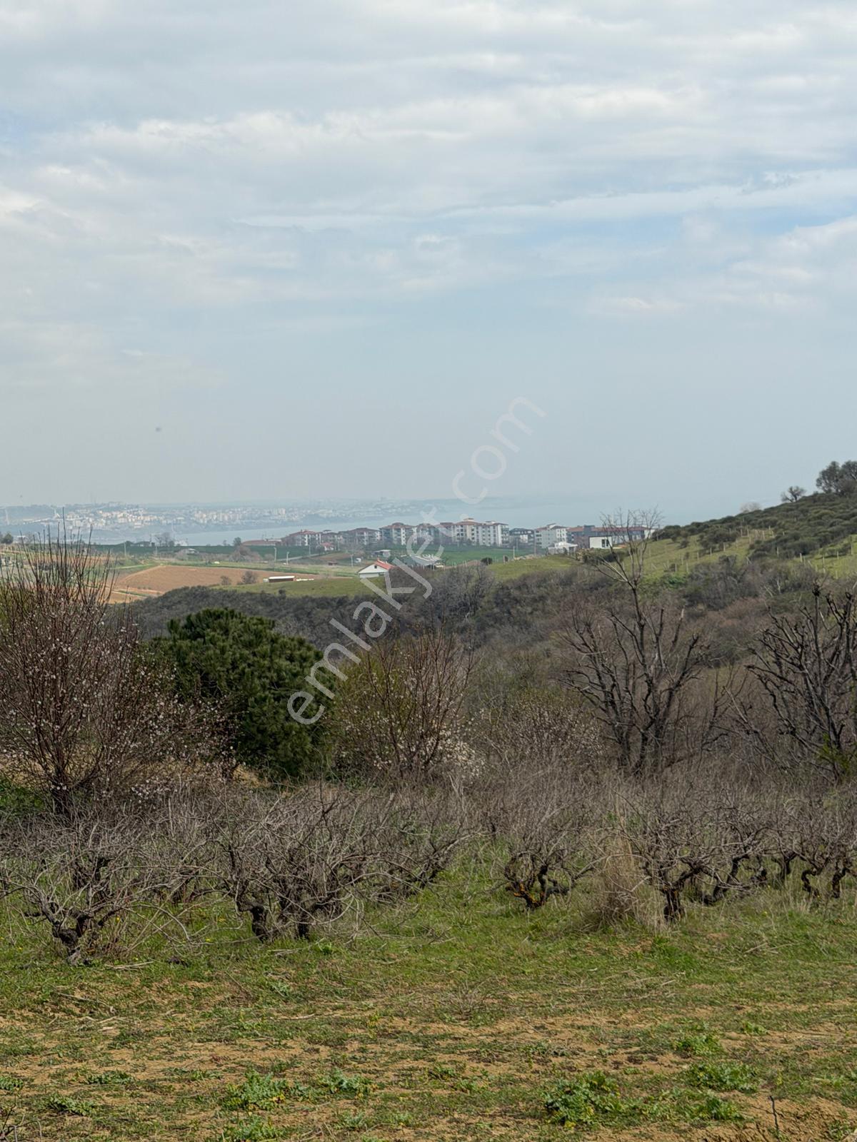 📍 Topağaç’ta 400 M² Altyapılı, Yolu Açık, Değer Kazanan Satılık Arsa!
