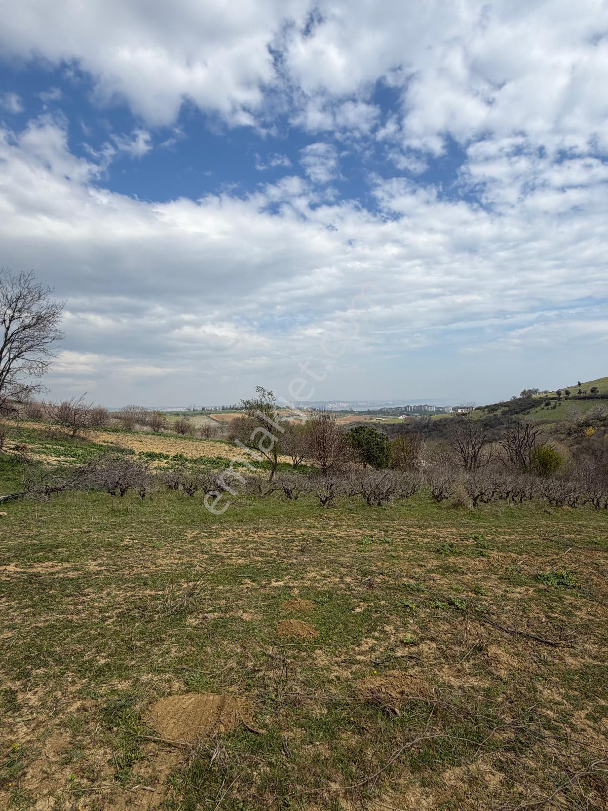 📍 Topağaç’ta 400 M² Altyapılı, Yolu Açık, Değer Kazanan Satılık Arsa! - Görsel 5