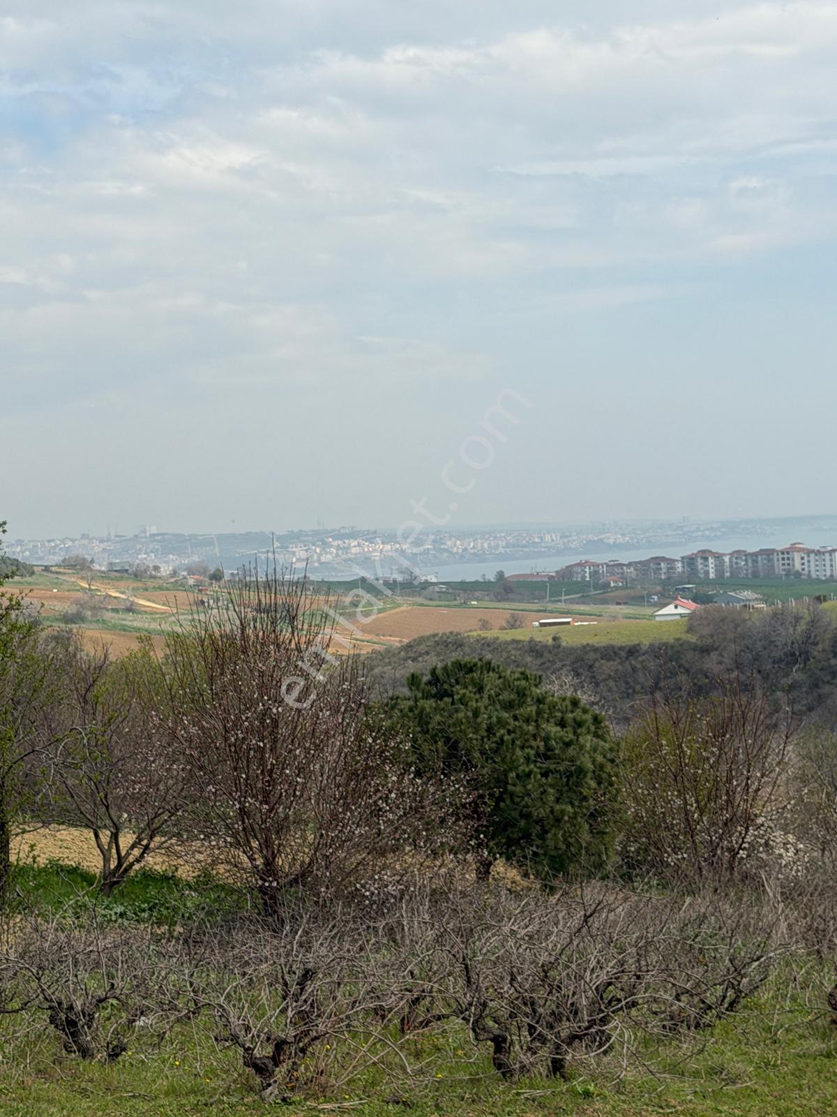 📍 Topağaç’ta 400 M² Altyapılı, Yolu Açık, Değer Kazanan Satılık Arsa! - Görsel 4