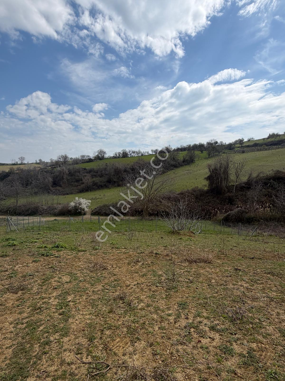 📍 Topağaç’ta 400 M² Altyapılı, Yolu Açık, Değer Kazanan Satılık Arsa! - Görsel 3