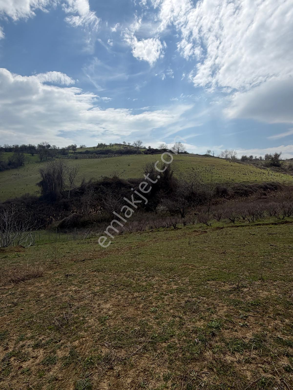 📍 Topağaç’ta 400 M² Altyapılı, Yolu Açık, Değer Kazanan Satılık Arsa! - Görsel 2