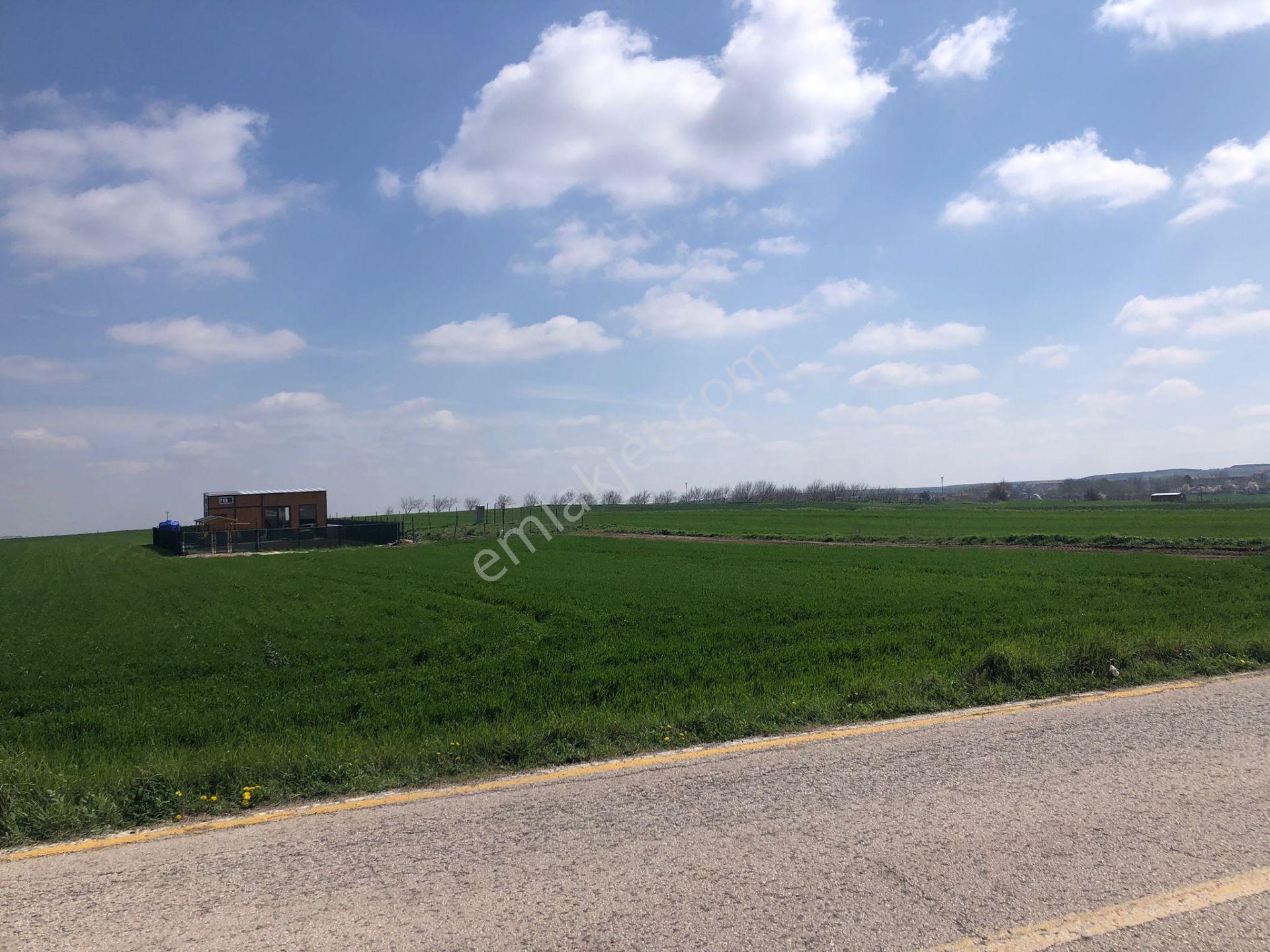 Tekirdağ Ergene Misinli De İmarlı İfrazlı Arsa - Görsel 10