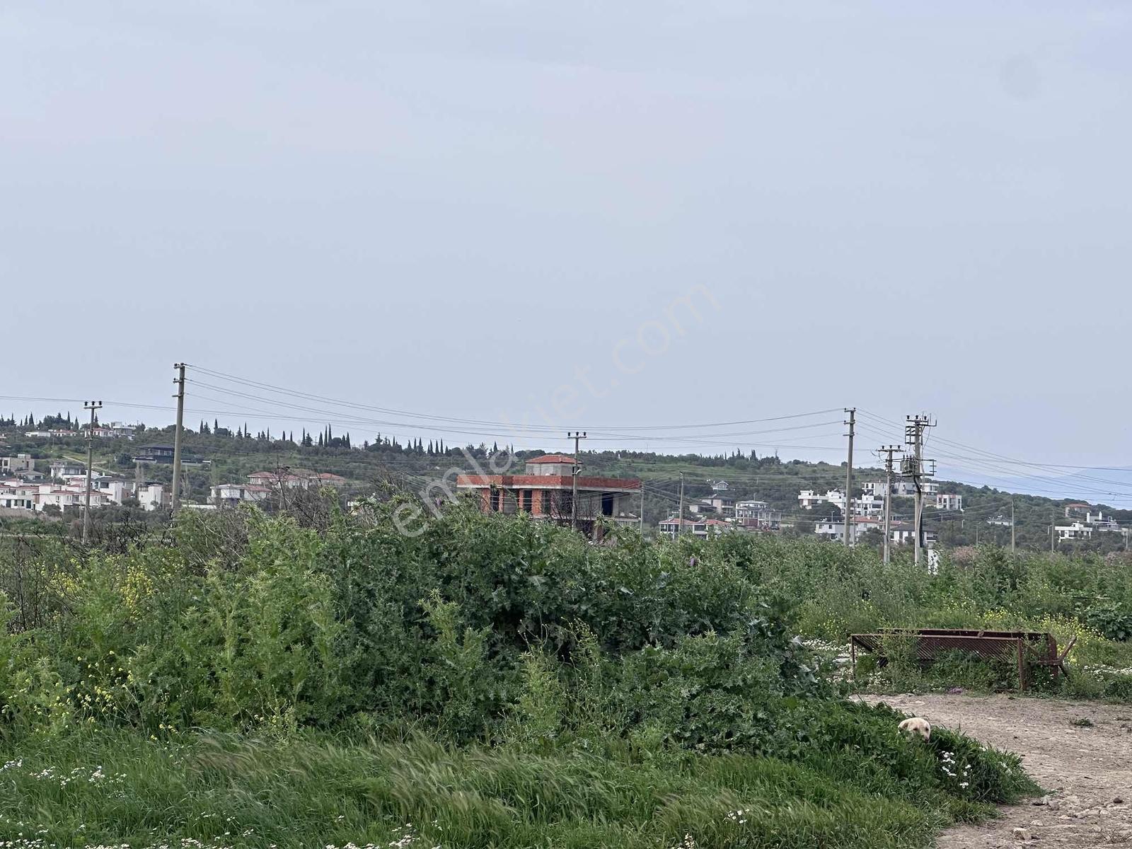 Uçardan Gömeçte Denize 500 Metre %20 İmarlı 322 M² Villa Arsası - Görsel 4