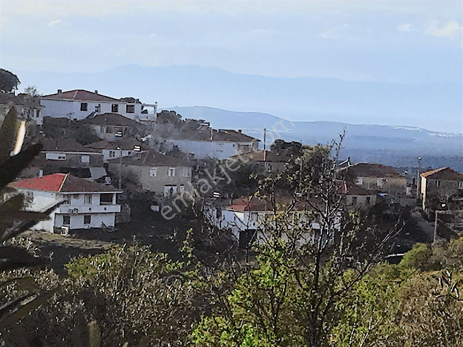 Uçardan Hacıhüseyinlerde 3600 Metre Kare Zeytinlik