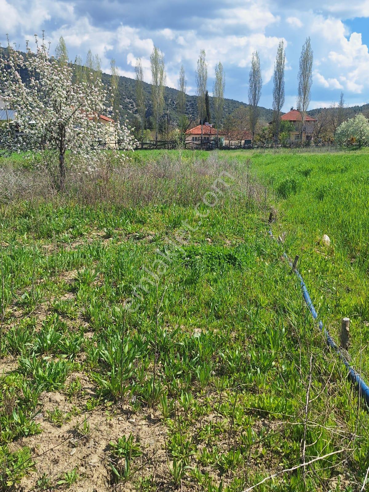 Ağlasun Kibrit Köyünde Satılık Fırsat Arazi - Görsel 31