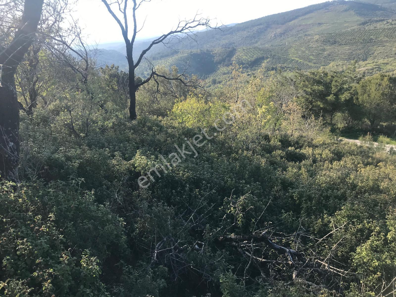Uçardan Kumgedik'te 800 Metre Kare Arsa Fırsatı - Görsel 11