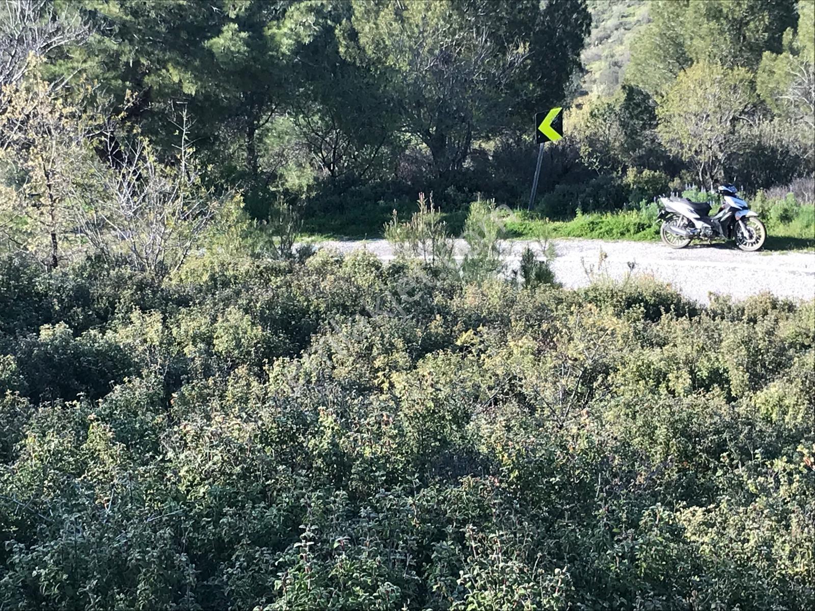 Uçardan Kumgedik'te 800 Metre Kare Arsa Fırsatı - Görsel 4