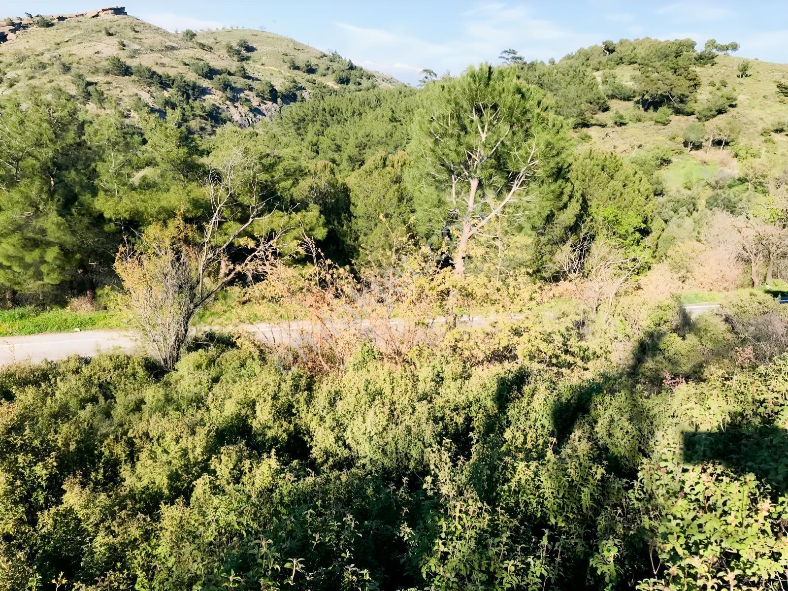 Uçardan Kumgedik'te 800 Metre Kare Arsa Fırsatı - Görsel 6