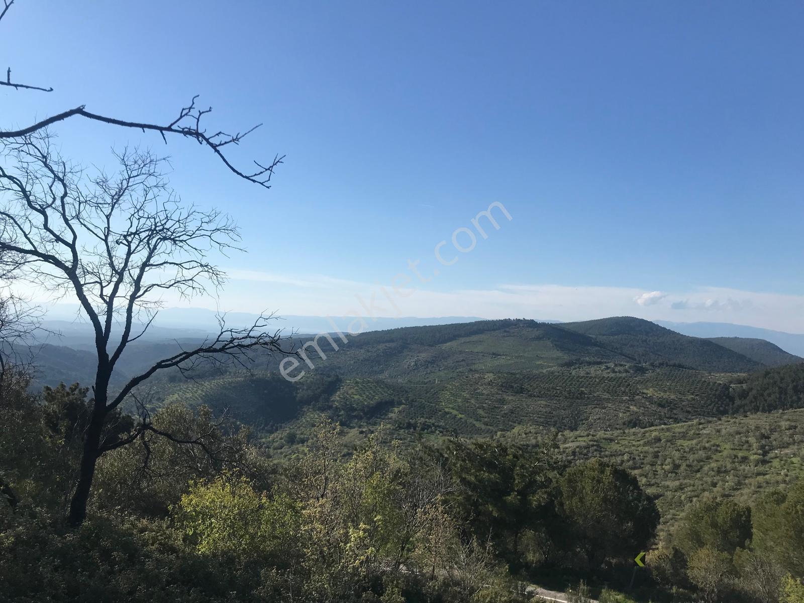 Uçardan Kumgedik'te 800 Metre Kare Arsa Fırsatı - Görsel 8