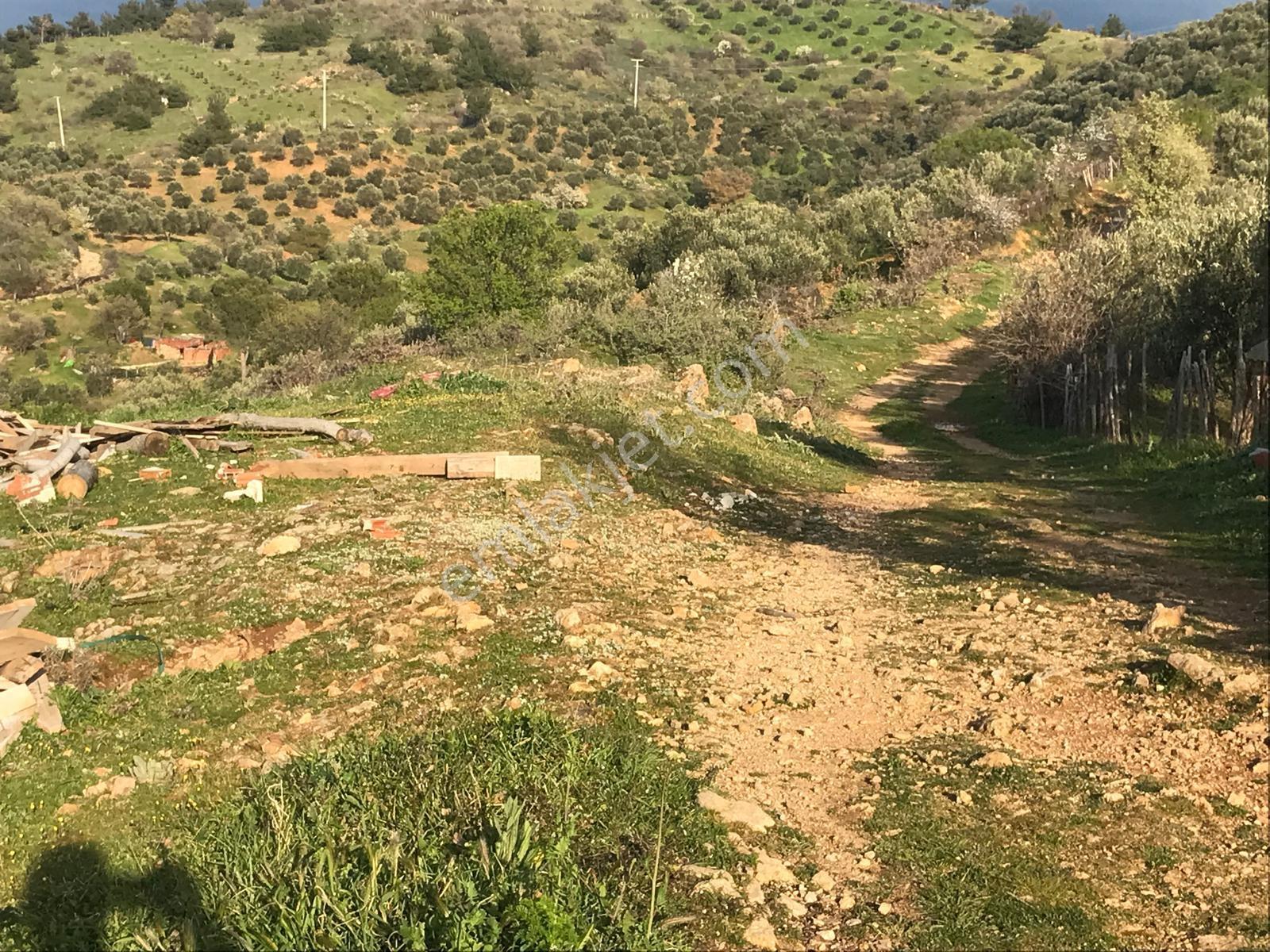 Uçardan Deniz Manzaralı Köye Bitişik Fırsat Arsa - Görsel 8