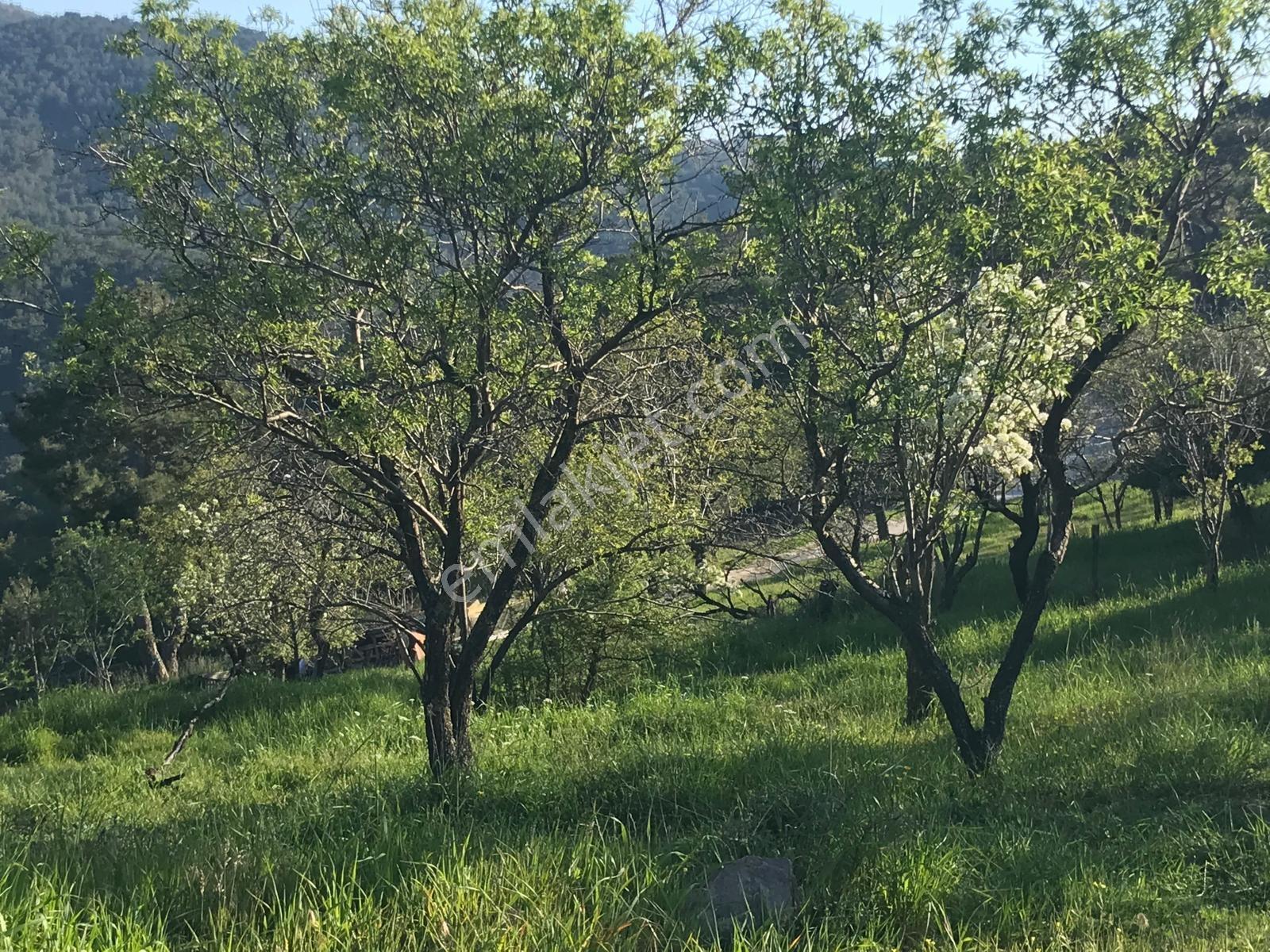 Uçardan Kumgedik'te Köy İçi %40 İmarlı Satılık Arsa - Görsel 2