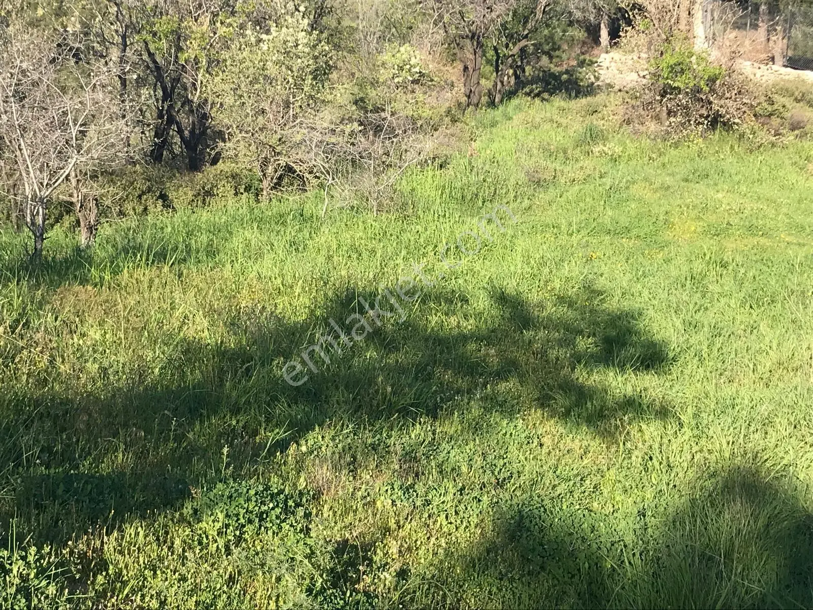Uçardan Kumgedik'te Satılık Tarla 1500 Metre Kare - Görsel 3