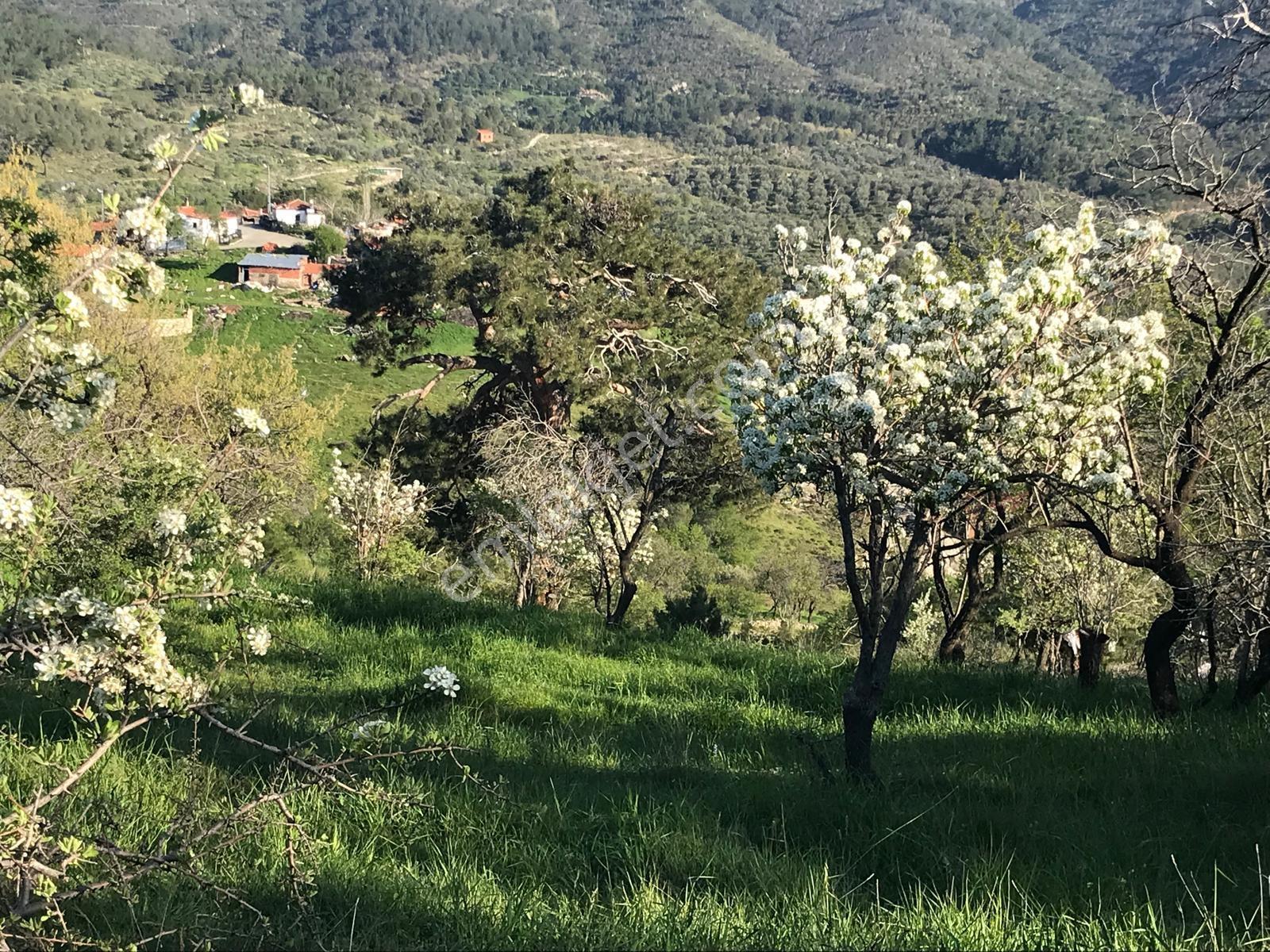Uçardan Kumgedik'te Satılık Tarla 1500 Metre Kare
