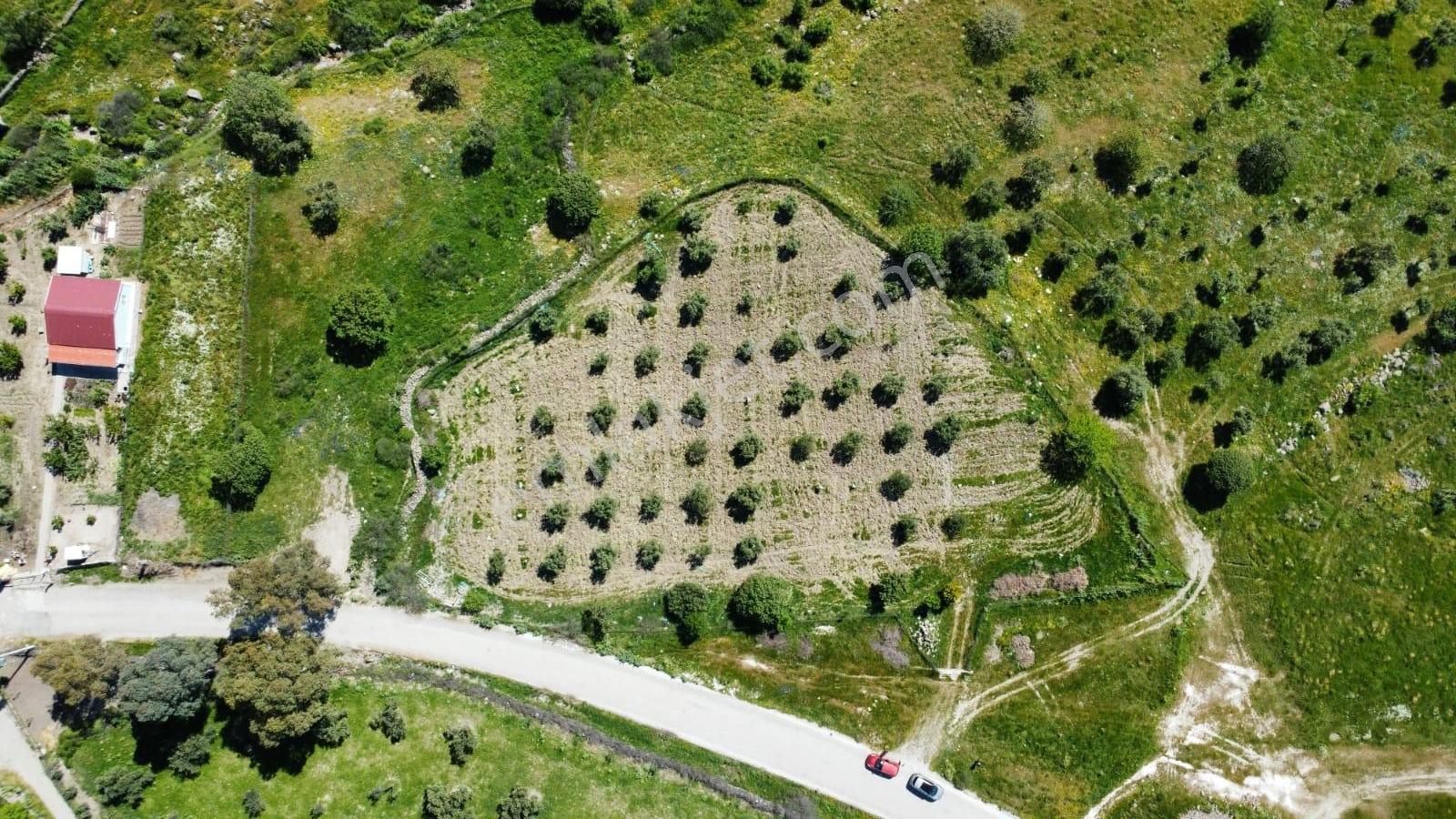 Çoraklar'da 1300 M² Köy İçinde Tarla