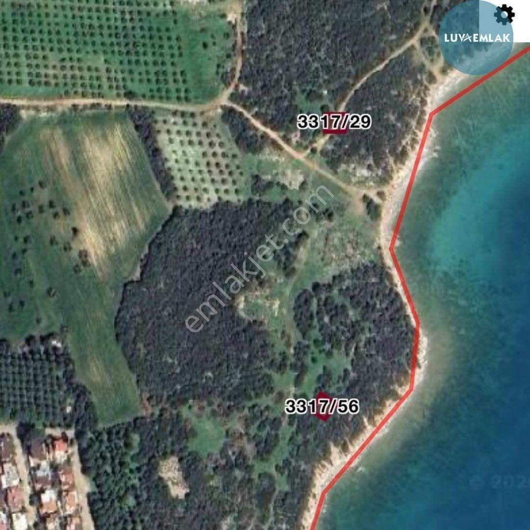 Didim Fevzipaşa'da Denize 30 Ve 50 Metre Mesafede Satılık Arsalar - Görsel 4