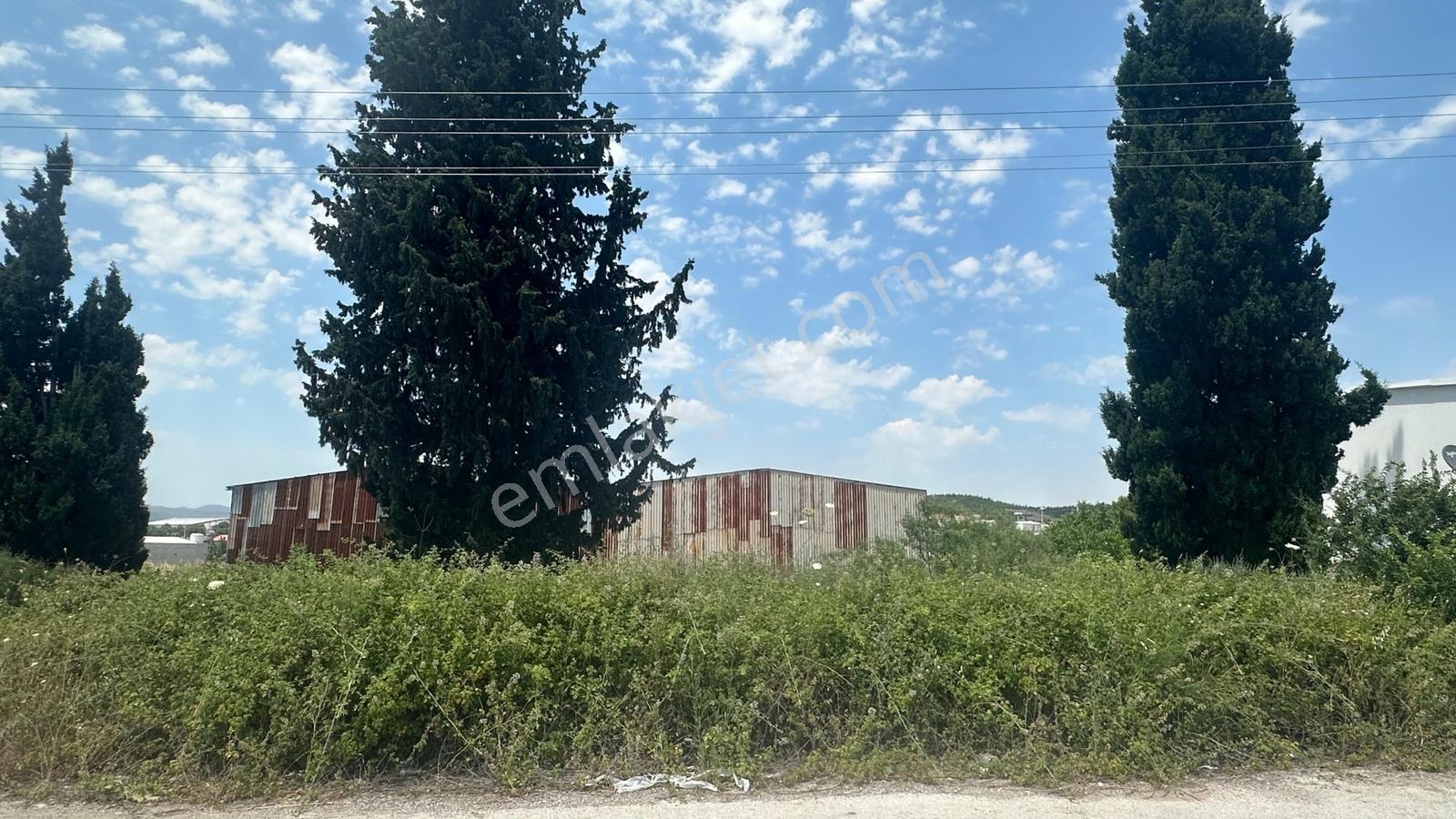 Acil Menderes Kısık Havalimanı Yakın 1008m2 Müstakil Tapulu Arsa