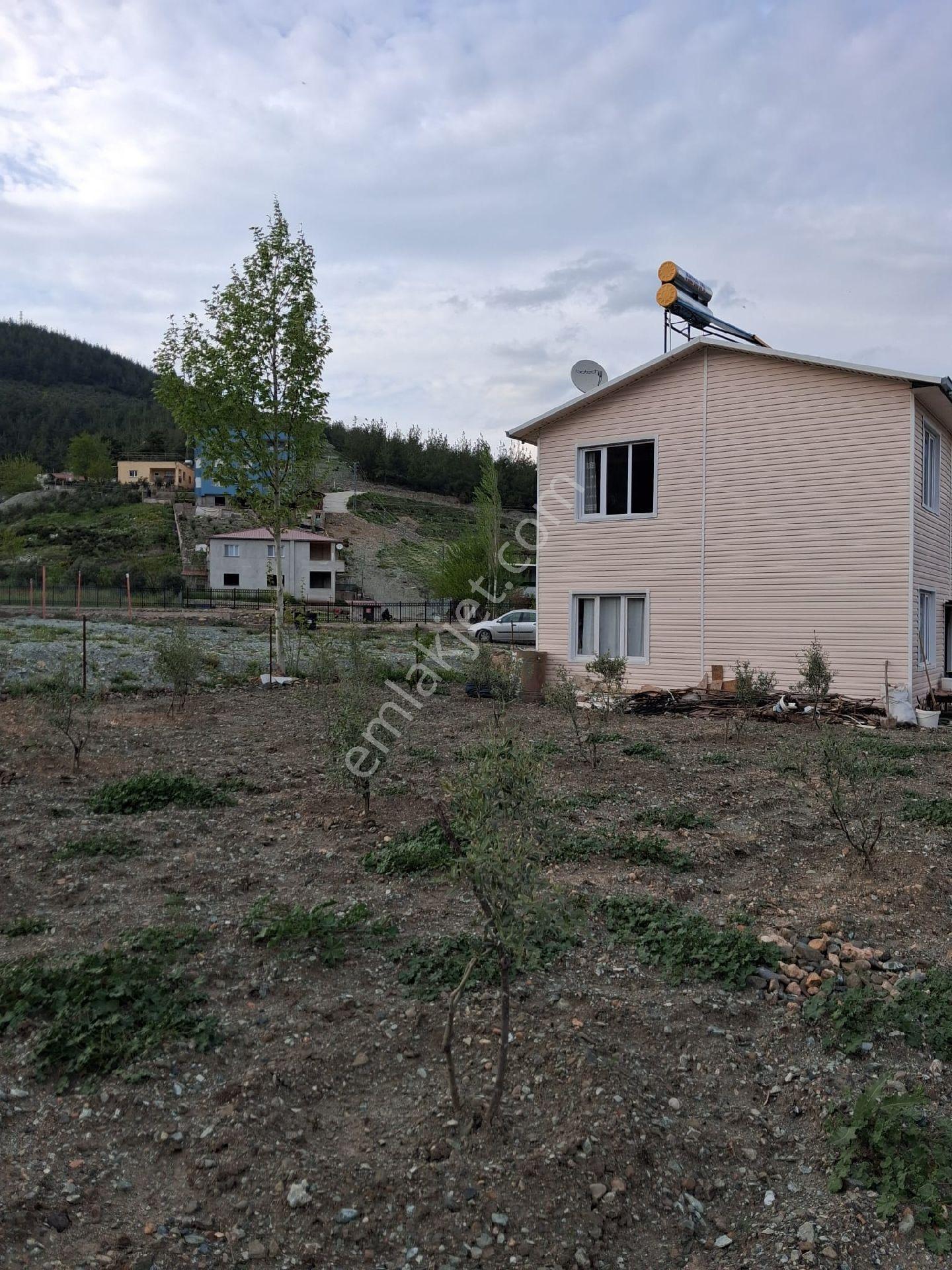 Büyük Arsalı Yaylalık - Görsel 8
