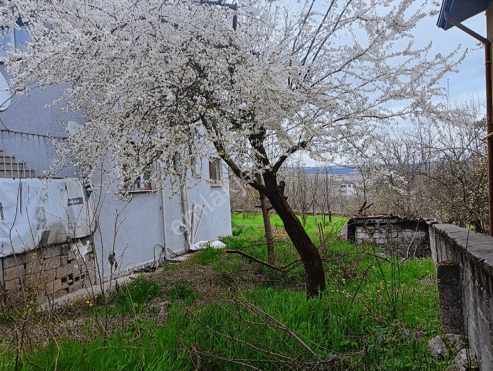 Safranbolu Bağlarbaşında 1201 M2 Bahçeli 2 Katlı Müstakil Ev - Görsel 19