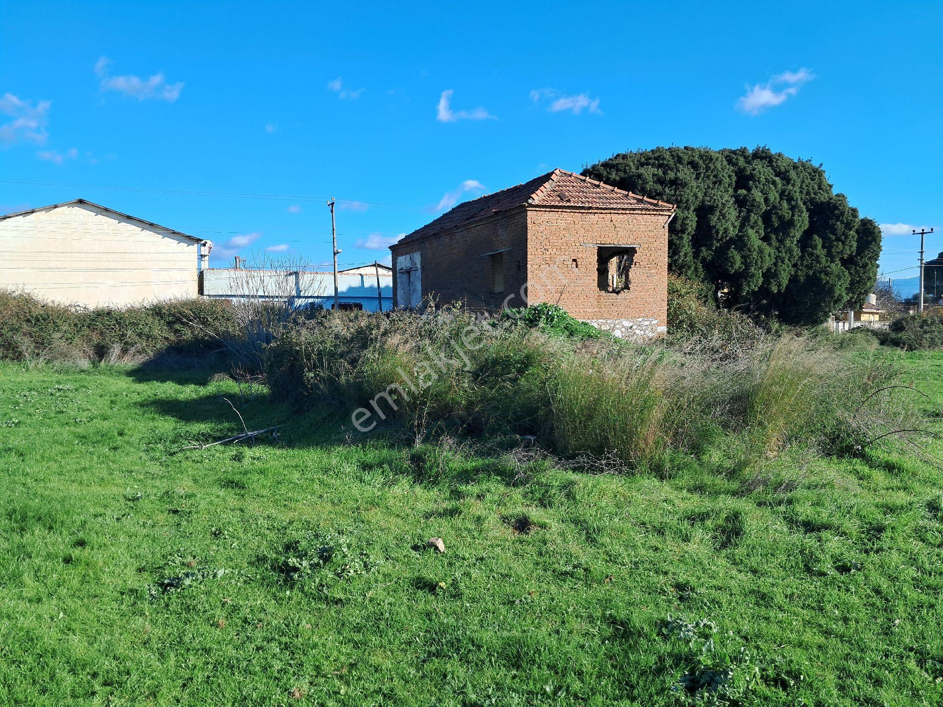Bayındır Arıkbaşı'nda 2180 M2 Arsa Satılıktır