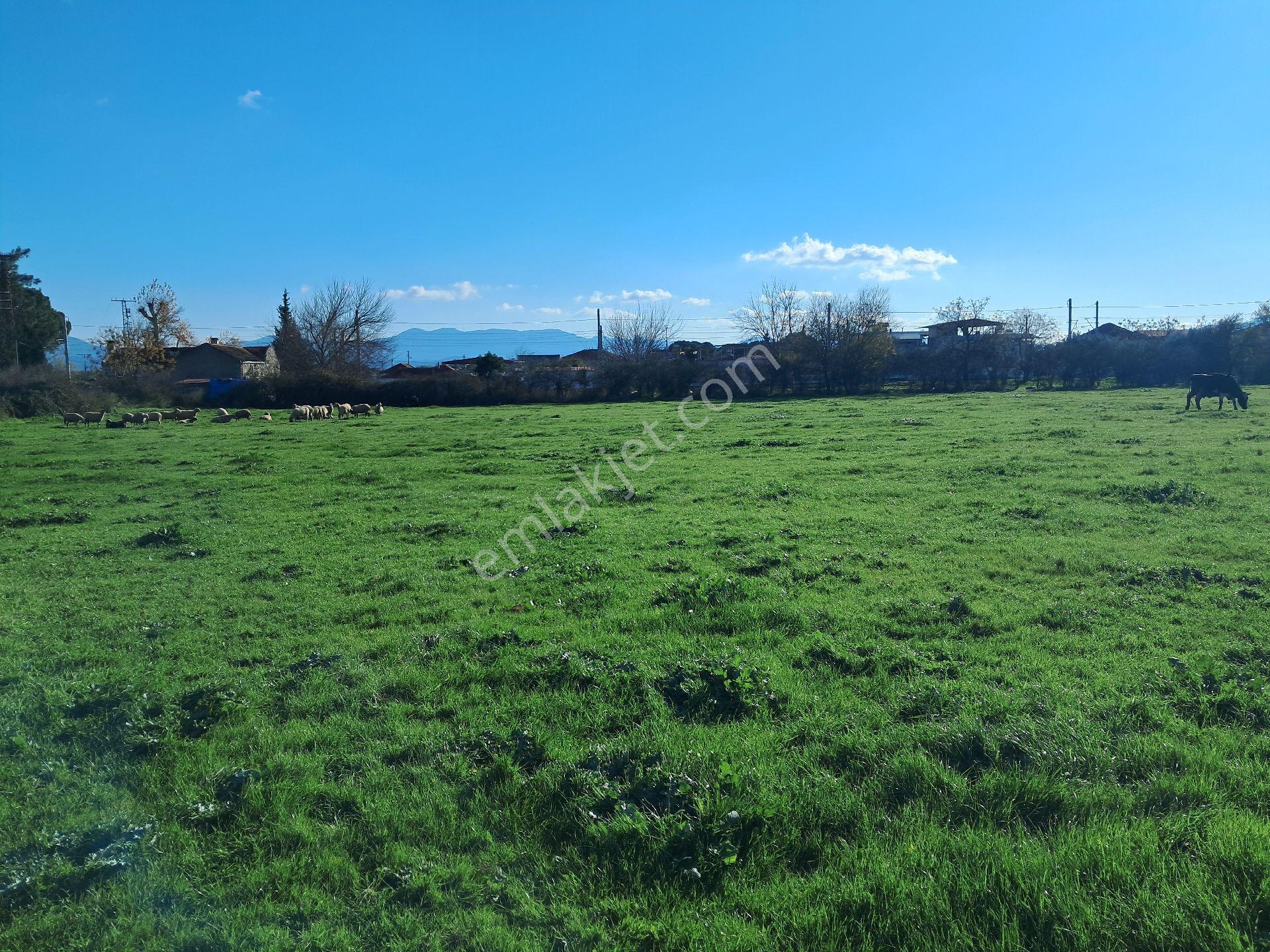 Bayındır Arıkbaşı'nda 2180 M2 Arsa Satılıktır - Görsel 4