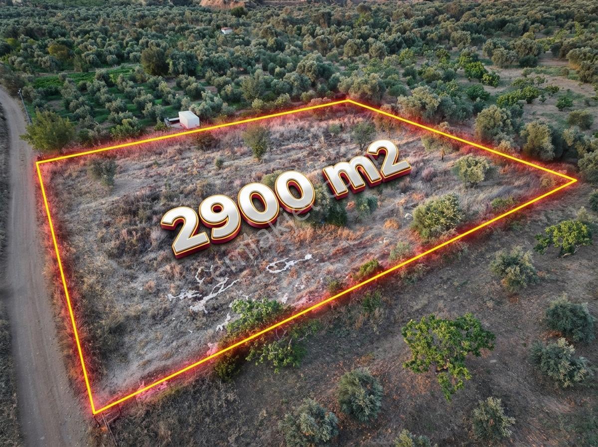 İsabeyli'de 2900m² Düz Ve Kadastral Yola Cepheli Bahçe - Görsel 3