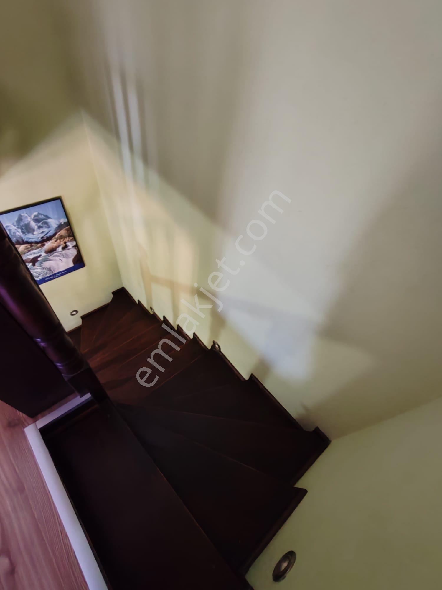 Cunda Adasında Arkadenizde Plaja Yakın Kiralık Eşyalı Villa - Görsel 11