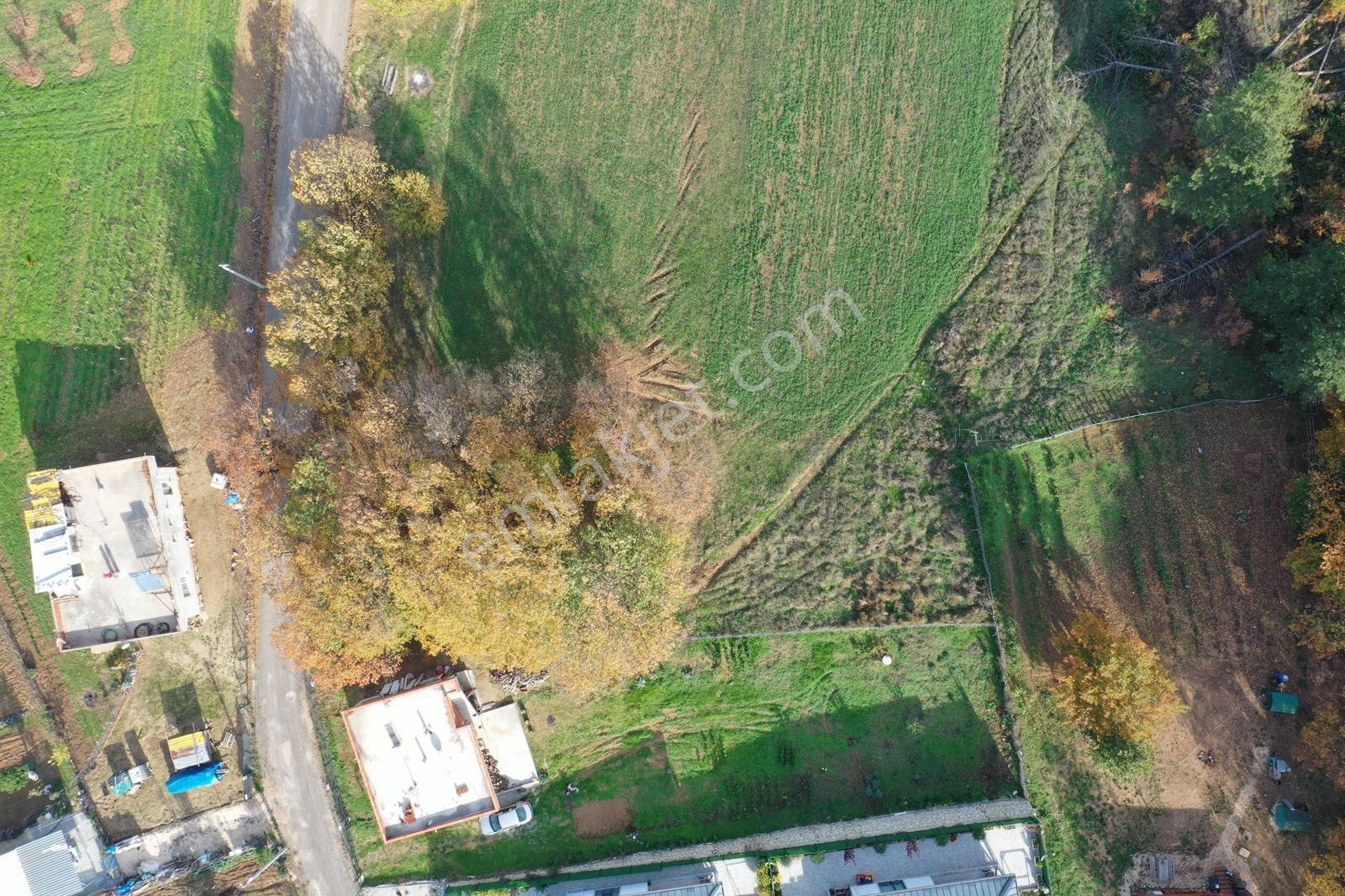 Nilüfer Atlas 1038 M2 Ayrı Tapulu Köy Mücavir Alanı - Görsel 7