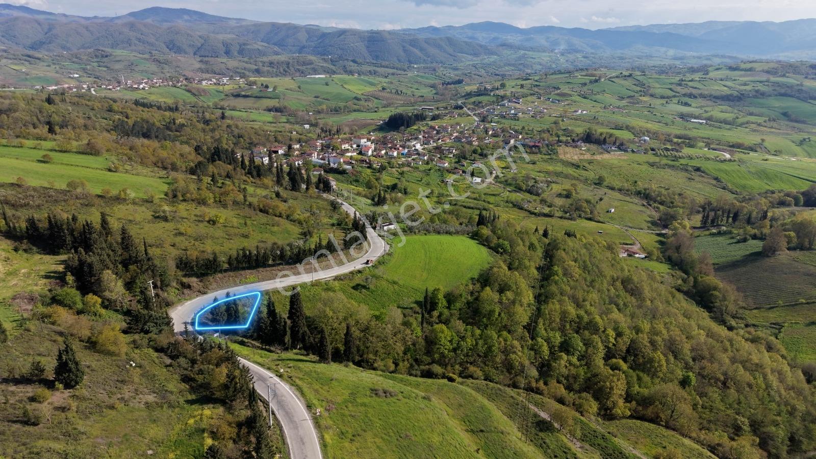 %5 İmarlı Yola Cephe Hayriye Mah. Satılık Arazi