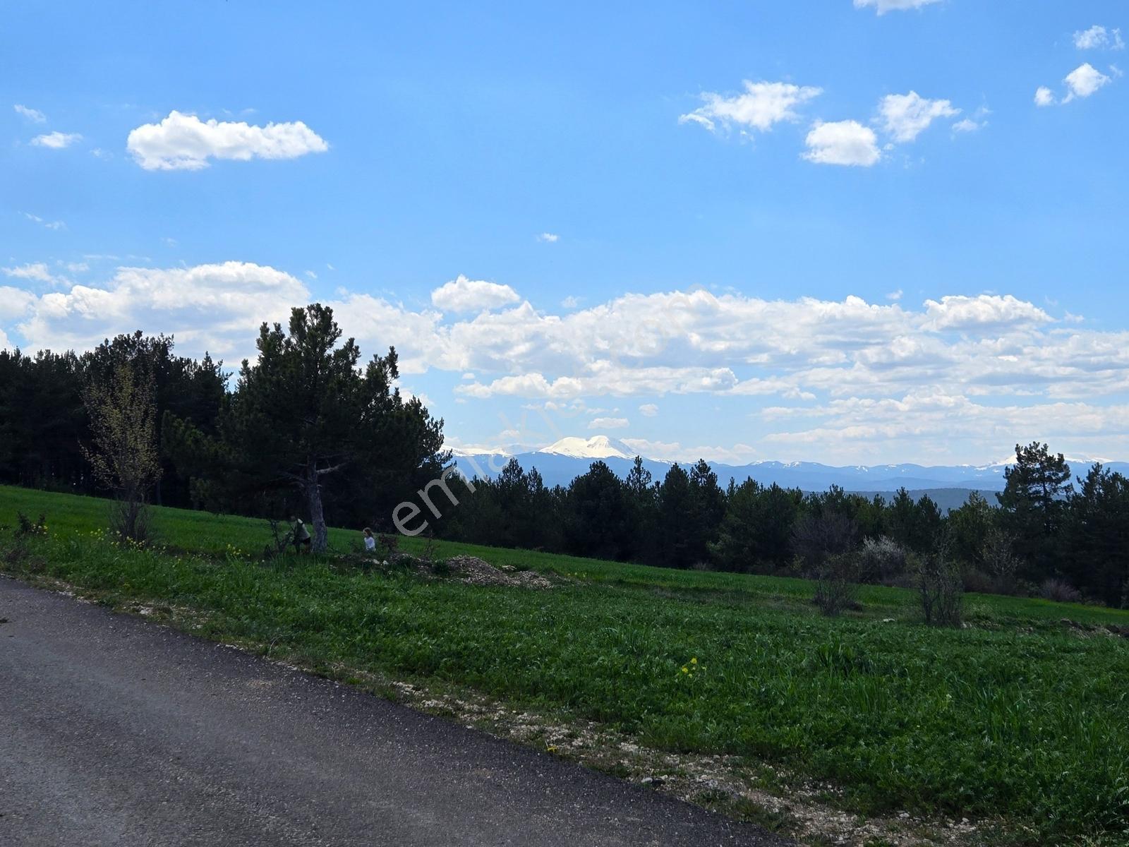 Garanti Emlak'tan, Şehir & Ilgaz Manzaralı, 2.225 M² Fırsat Arsa - Görsel 23