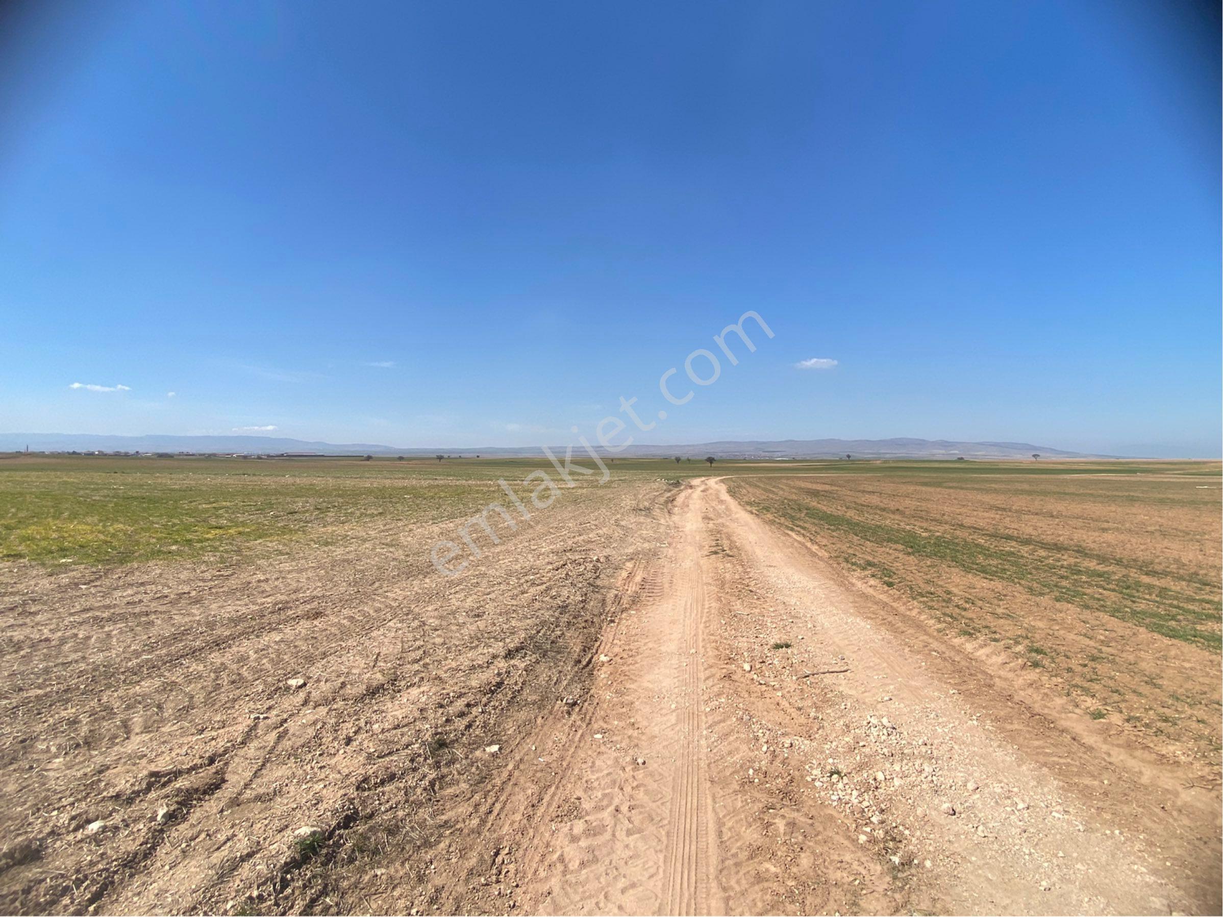 Sahibinden Satılık 3.950m2 Tarla - Görsel 2