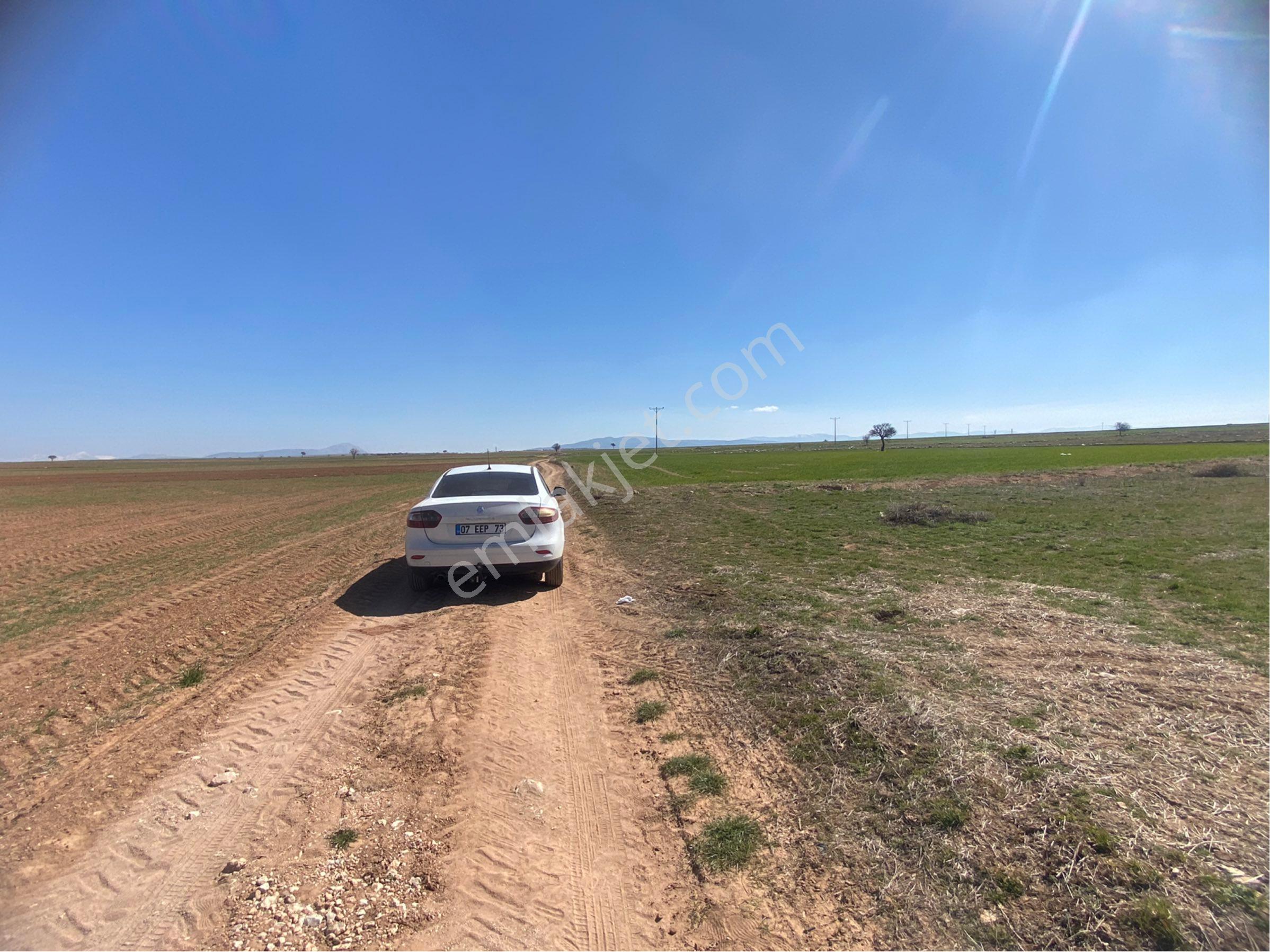 Sahibinden Satılık 3.950m2 Tarla - Görsel 3