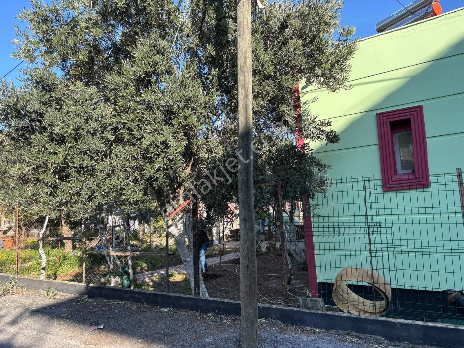 Veli Yavuz Okulunun Yanında 377 Metre Arsa Üzerinde Tek Katlı Ev - Görsel 2