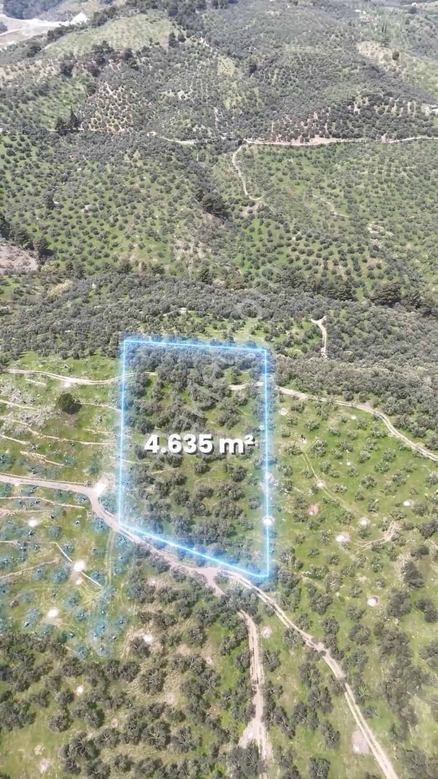 Küçükkuyuda Deniz Manzaralı 4.635 M² Kadastro Yola Cepheli - Görsel 12