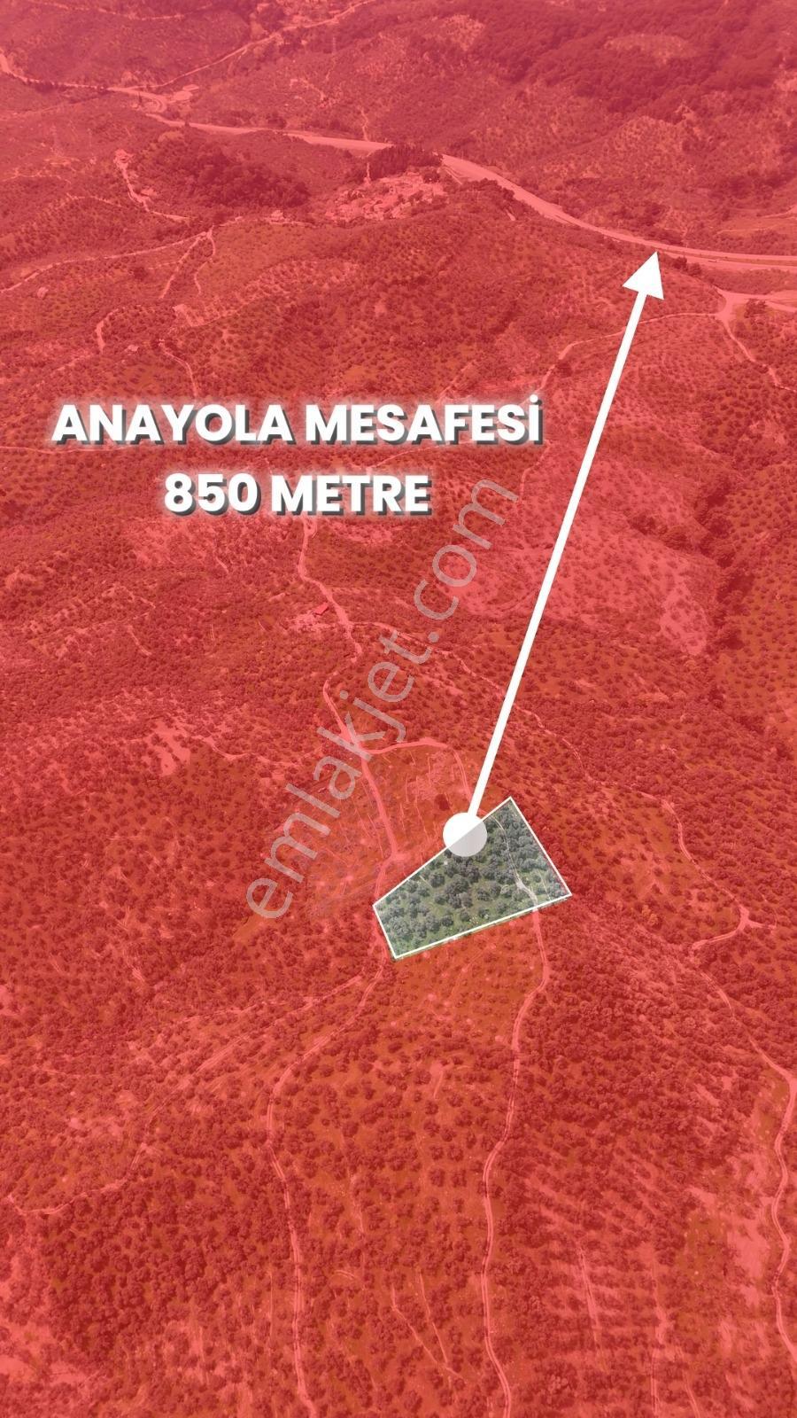 Küçükkuyuda Deniz Manzaralı 4.635 M² Kadastro Yola Cepheli - Görsel 22