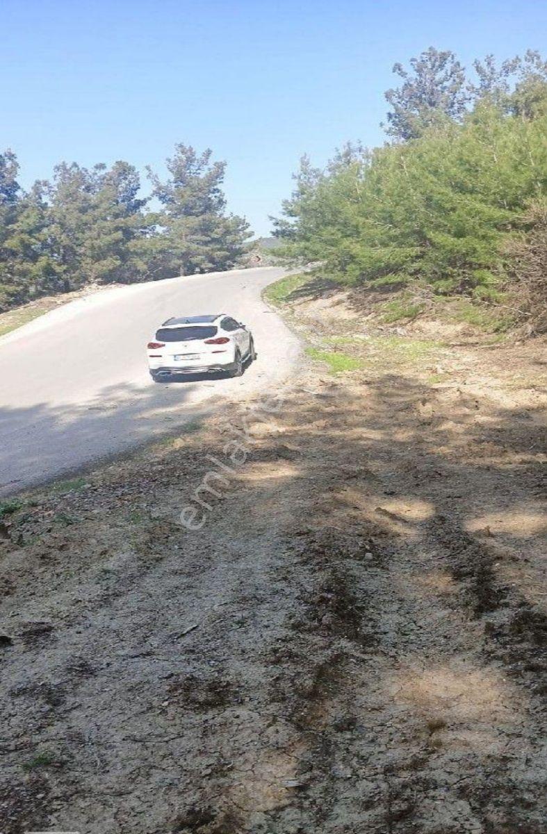 İzmir, Kınık, Büyükoba'da Satılık Tarlalar - Görsel 21